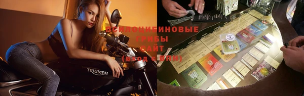 мет Аркадак